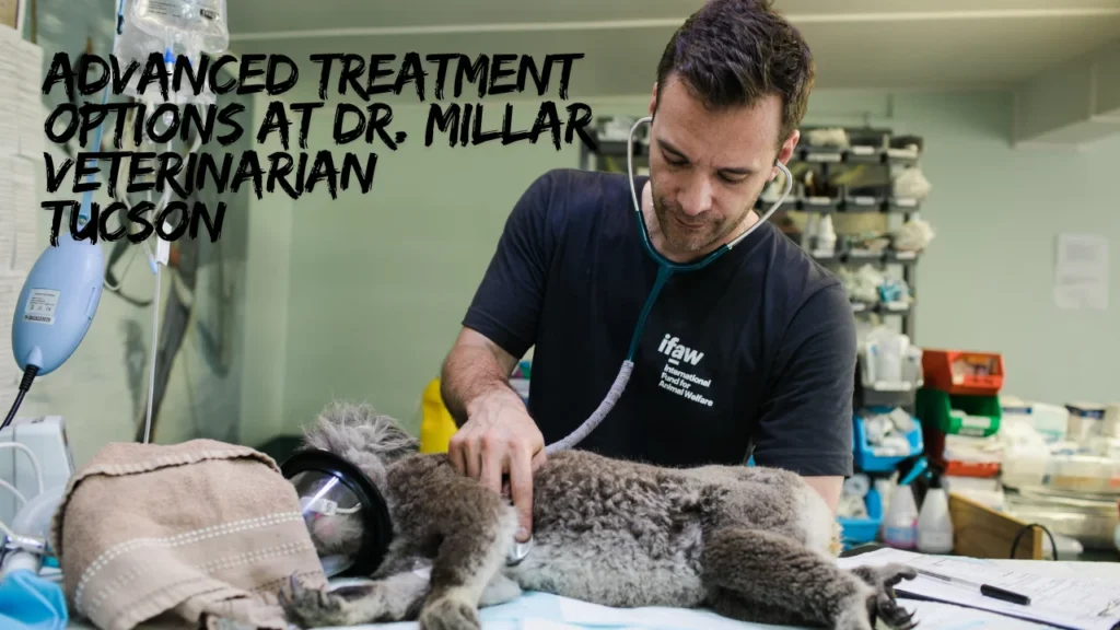 Advanced Treatment Options at Dr Millar Veterinarian
Tucson