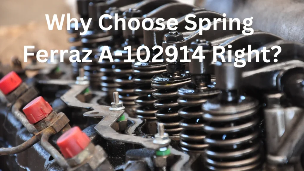 Why Choose Spring Ferraz A-102914 Right?