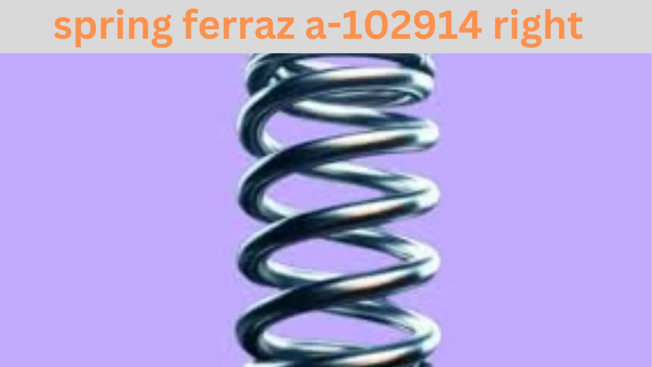 spring ferraz a-102914 right