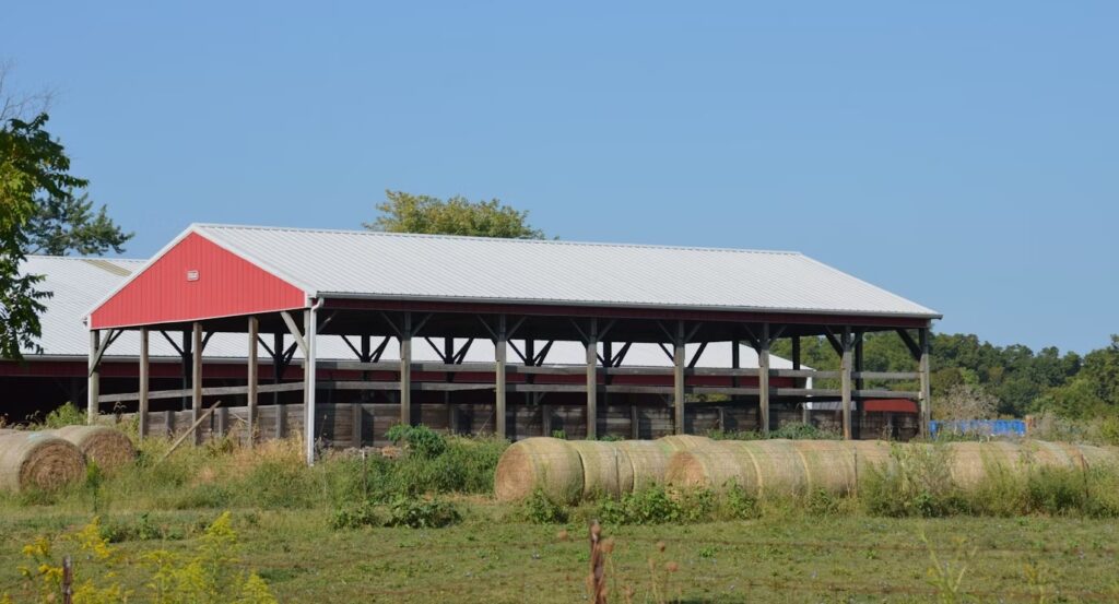 Steel Structures for Livestock Housing