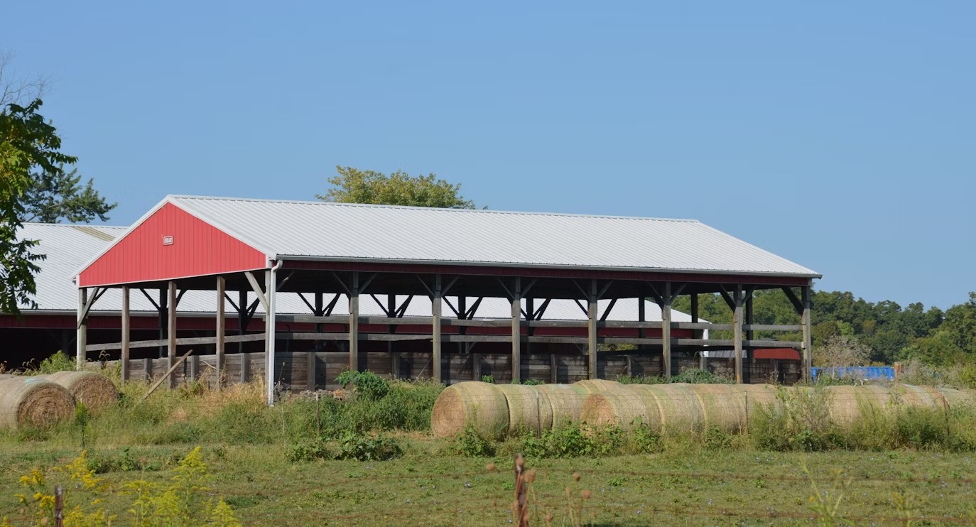 Steel Structures for Livestock Housing