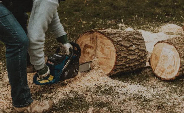 Why Professional Tree Stump Removal in Toronto Matters Today
