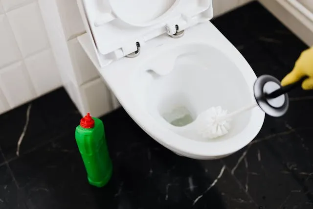 A Cleaner, Healthier Bathroom Guide to DIY Toilet Bowl Cleaner