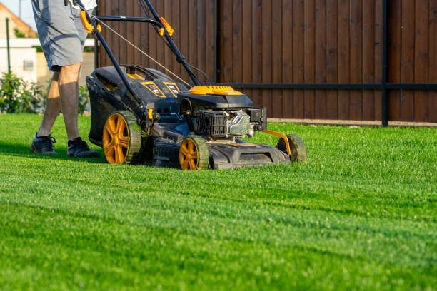 How Does Bermuda Grass Compare to Other Warm-Season Lawn Grasses