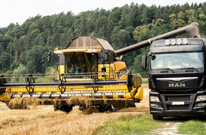 How to Make Dumpster Rental Bastrop Texas More Cost Effective