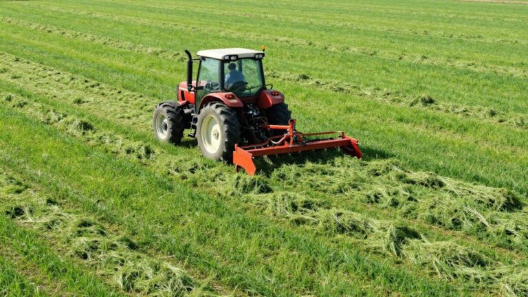 How a Mower Conditioner Helps Farmers Speed Up Drying and Protect Forage Quality