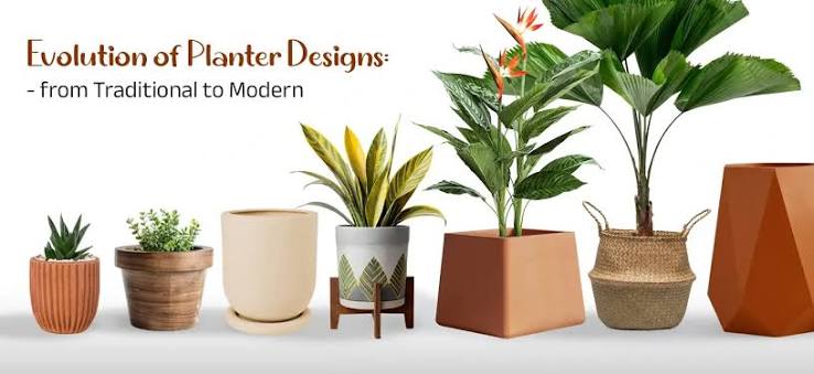 Modern Planters vs Antique Planters
