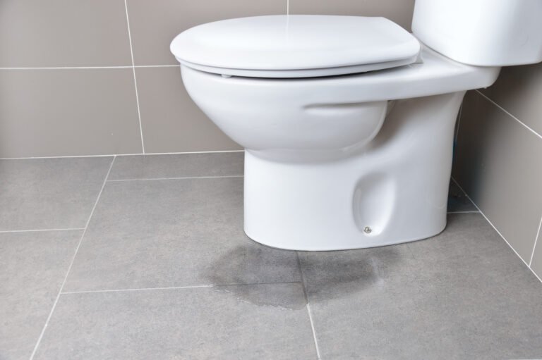 Toilet Running or Leaking: Common Causes