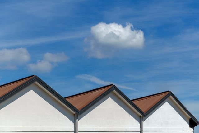 Why Possums Move Into Roof Spaces and How to Handle the Problem Safely