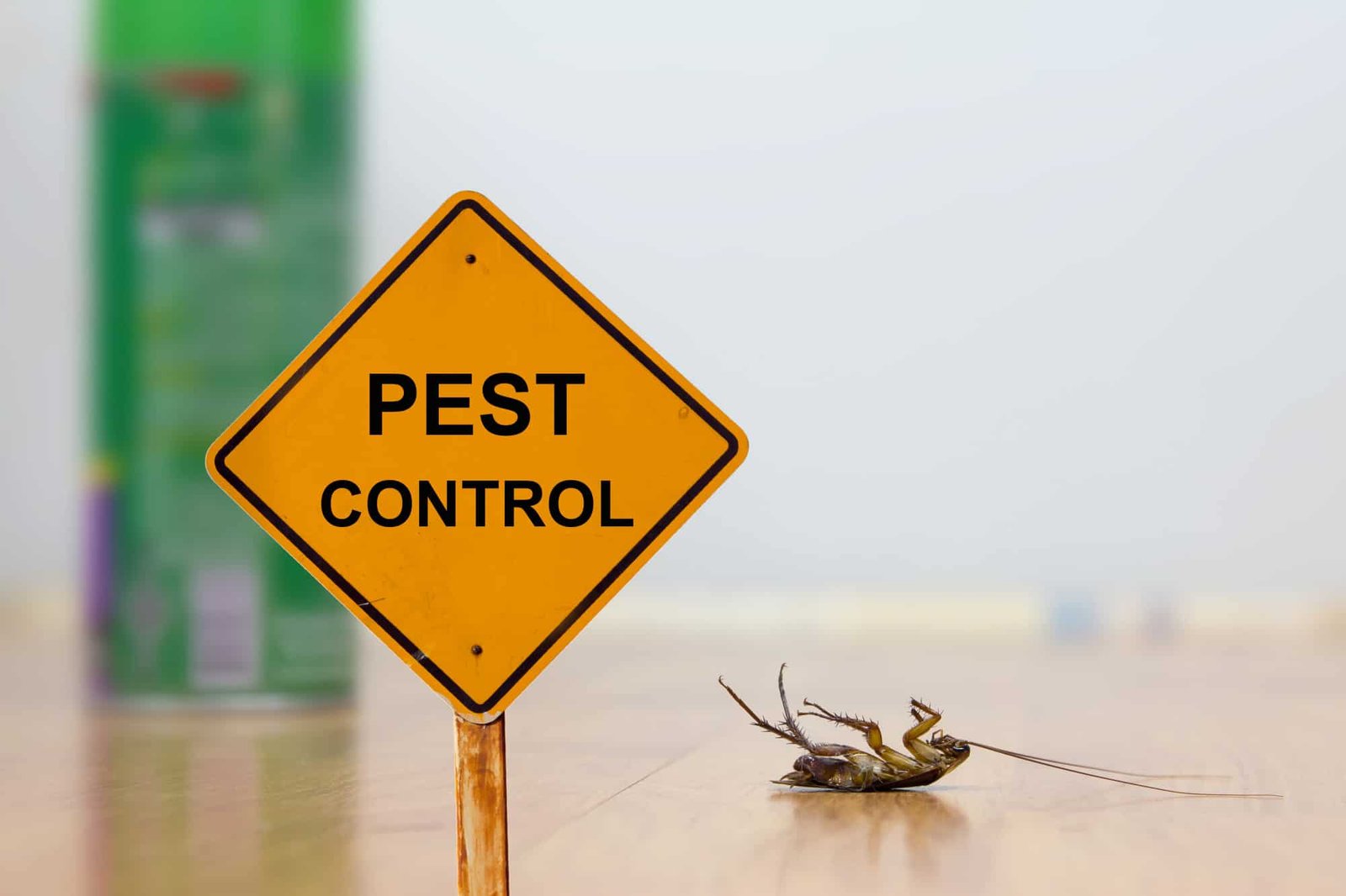 The Four-Season Home Check: Simple Pest Prevention Tasks for Northern Virginia, Virginia